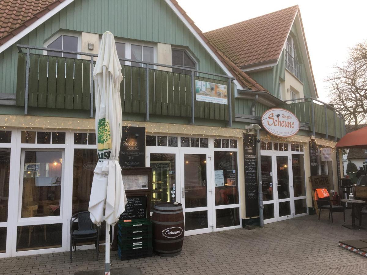 Doppelhaushaelfte Birkenstrasse 5E Villa Zingst Ngoại thất bức ảnh